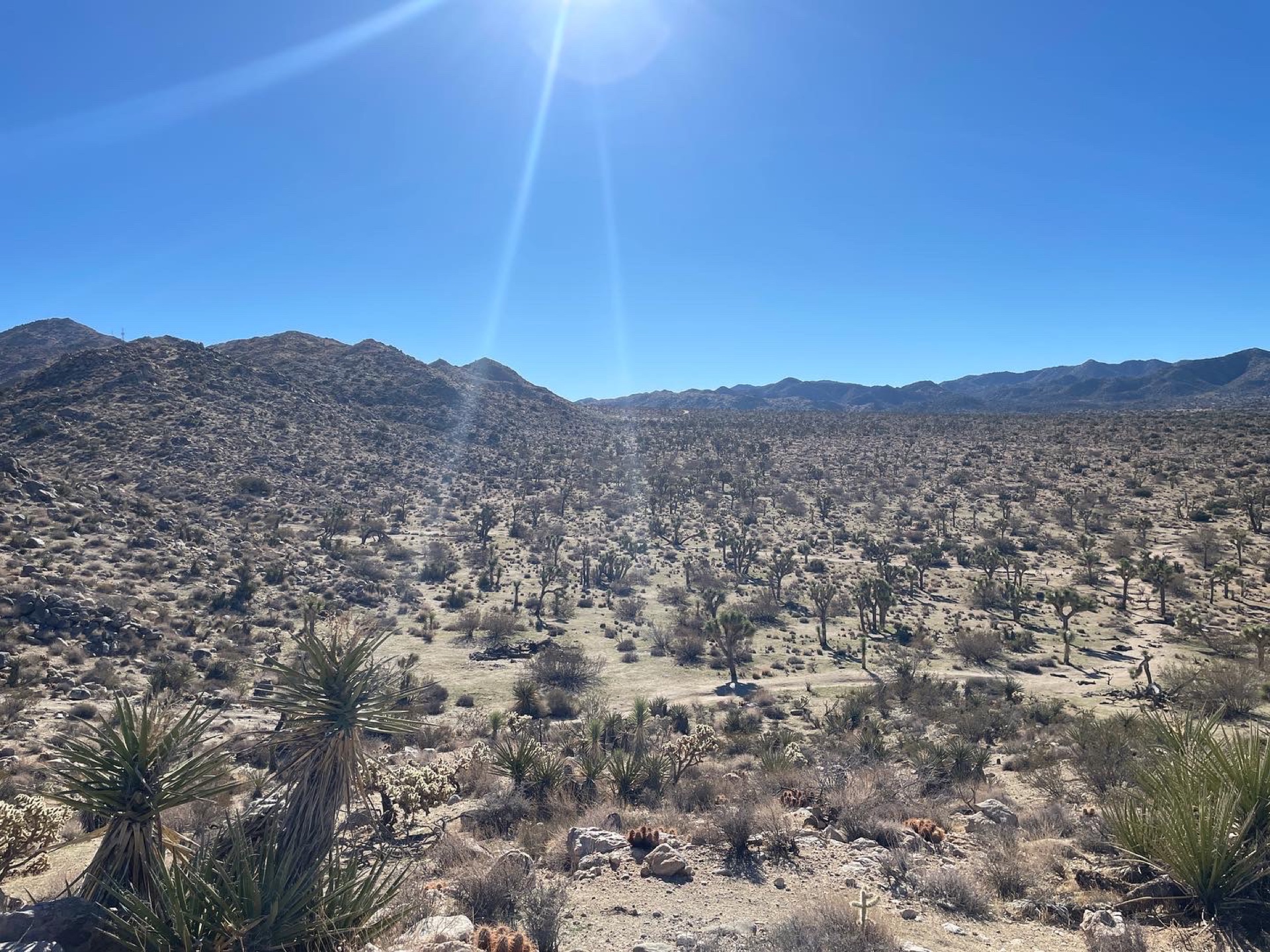 Andy McKee and Antoine Dufour