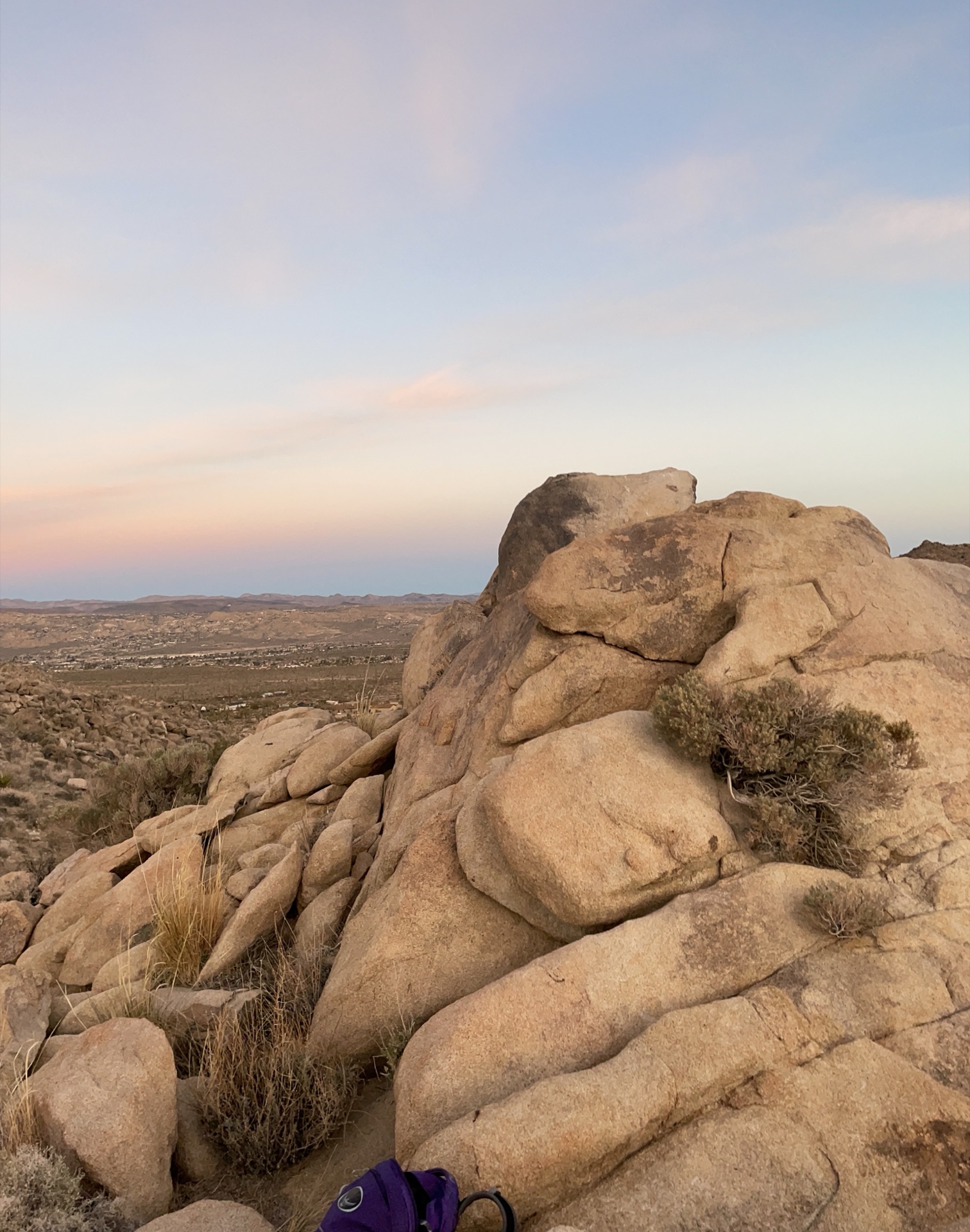 Responsive Web Design / Reading