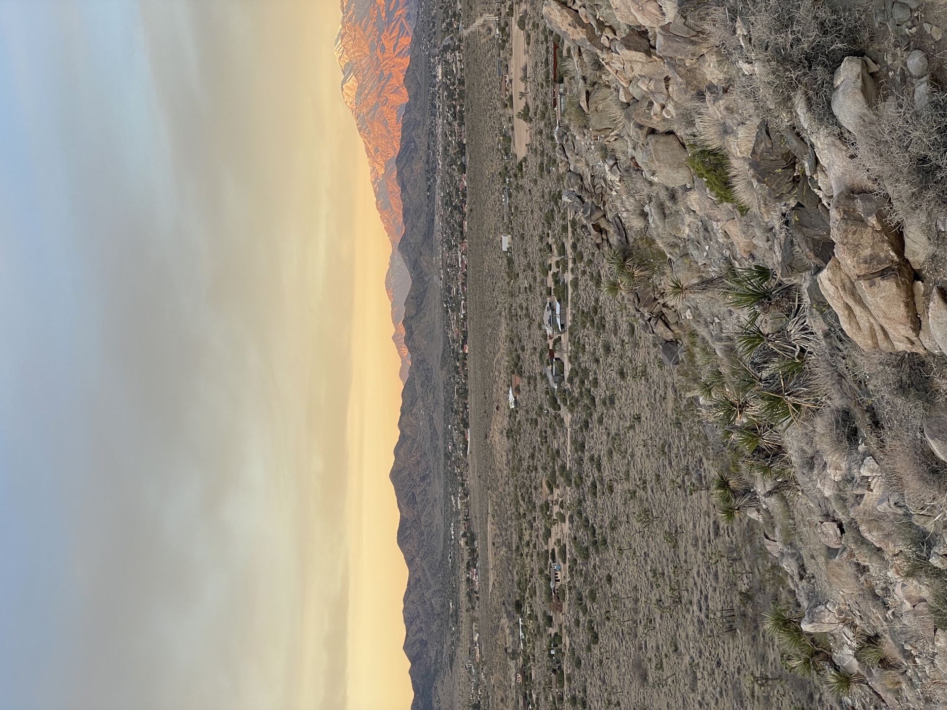 Escape From the Planet of the Meetings (1).