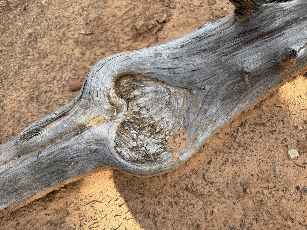 The Thing About Parenting: Constant Change.